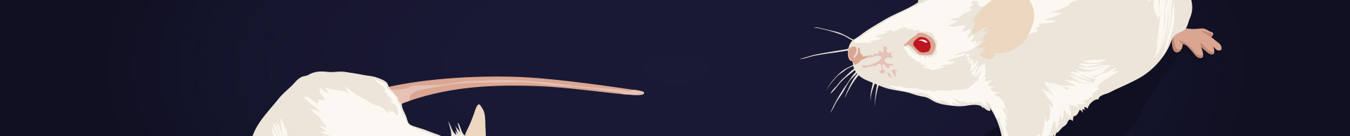 Raziskave na živalih Raziskave na živalih